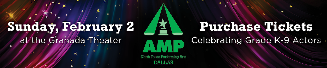 2025 Dallas AMP web slider